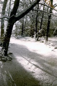 neige…